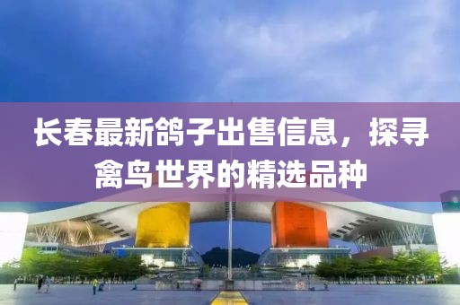 长春最新鸽子出售信息，探寻禽鸟世界的精选品种