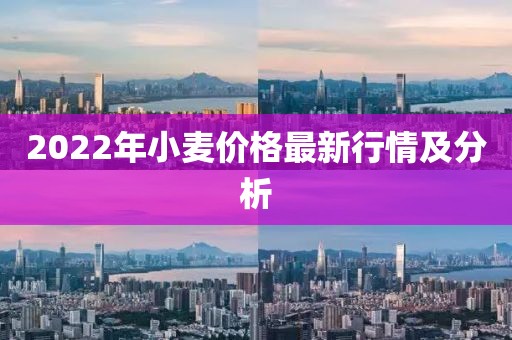 2022年小麦价格最新行情及分析