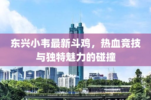 东兴小韦最新斗鸡，热血竞技与独特魅力的碰撞