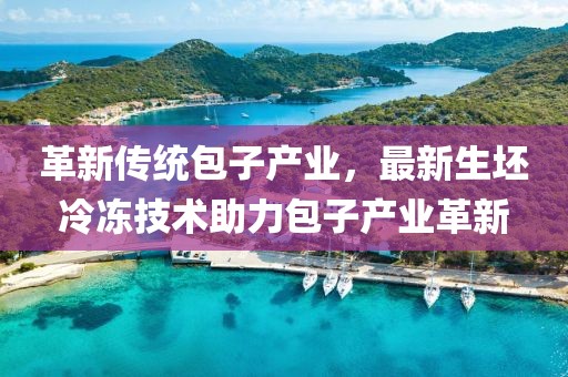 革新传统包子产业，最新生坯冷冻技术助力包子产业革新