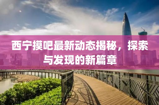 西宁摸吧最新动态揭秘，探索与发现的新篇章