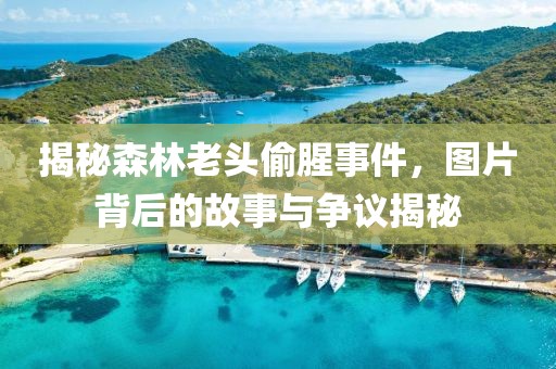 揭秘森林老头偷腥事件，图片背后的故事与争议揭秘