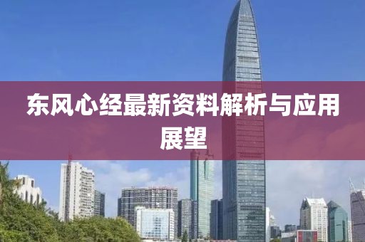 东风心经最新资料解析与应用展望
