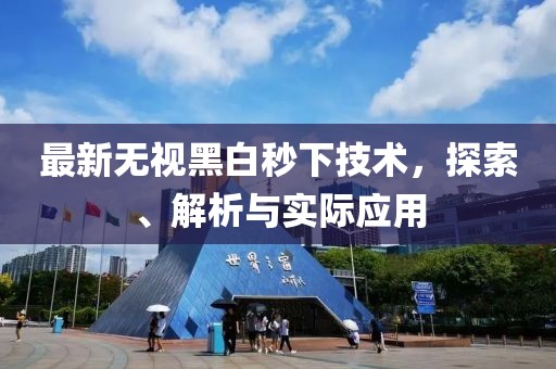 最新无视黑白秒下技术，探索、解析与实际应用