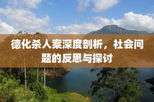 德化杀人案深度剖析，社会问题的反思与探讨