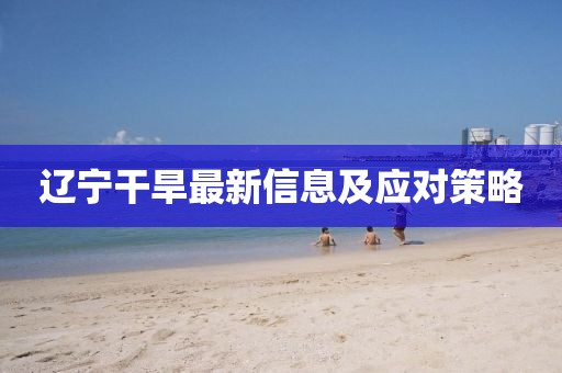 辽宁干旱最新信息及应对策略
