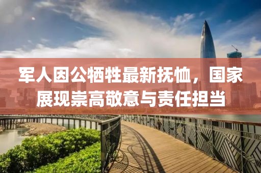 军人因公牺牲最新抚恤，国家展现崇高敬意与责任担当