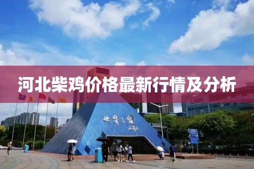 河北柴鸡价格最新行情及分析