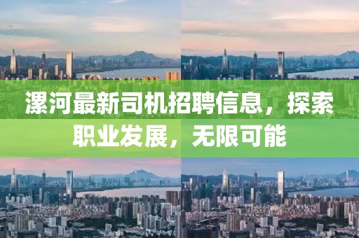 公司简介 第21页