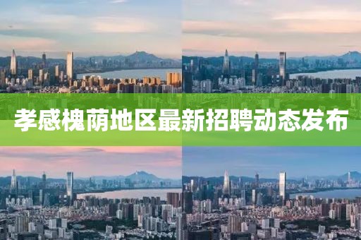 孝感槐荫地区最新招聘动态发布