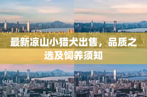 最新凉山小猎犬出售，品质之选及饲养须知