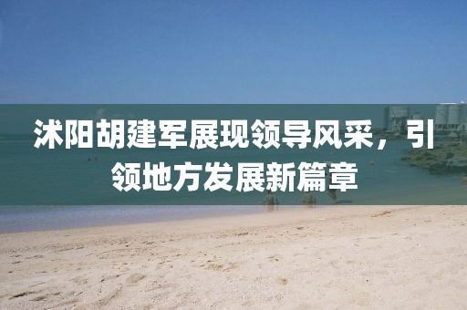 沭阳胡建军展现领导风采，引领地方发展新篇章