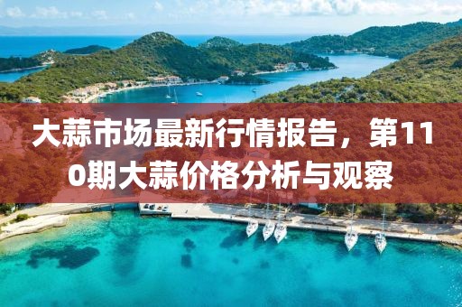 大蒜市场最新行情报告，第110期大蒜价格分析与观察