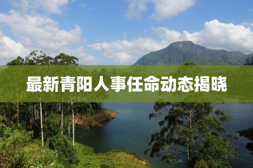 最新青阳人事任命动态揭晓