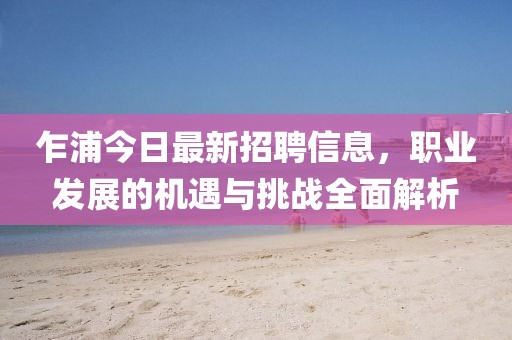 乍浦今日最新招聘信息，职业发展的机遇与挑战全面解析