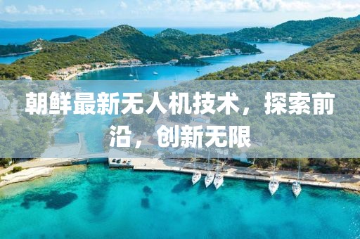 朝鲜最新无人机技术，探索前沿，创新无限