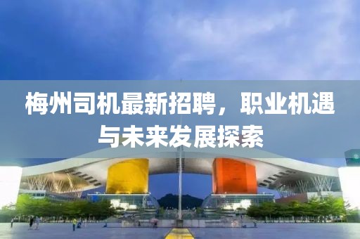 梅州司机最新招聘，职业机遇与未来发展探索