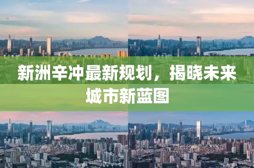 新洲辛冲最新规划，揭晓未来城市新蓝图