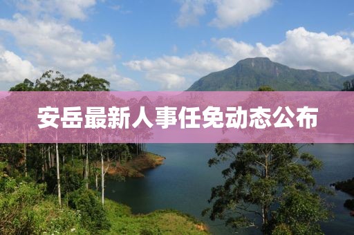 安岳最新人事任免动态公布