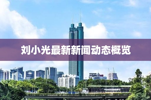 刘小光最新新闻动态概览