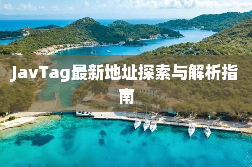 JavTag最新地址探索与解析指南