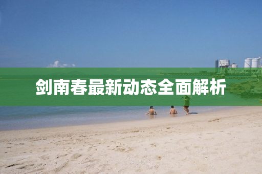剑南春最新动态全面解析
