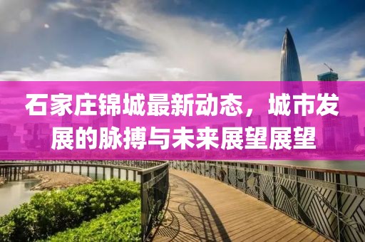 石家庄锦城最新动态，城市发展的脉搏与未来展望展望
