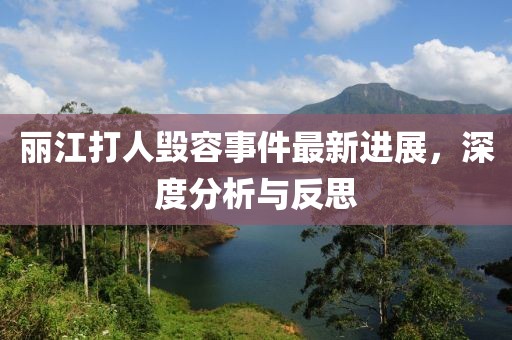 丽江打人毁容事件最新进展，深度分析与反思