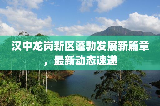 汉中龙岗新区蓬勃发展新篇章，最新动态速递
