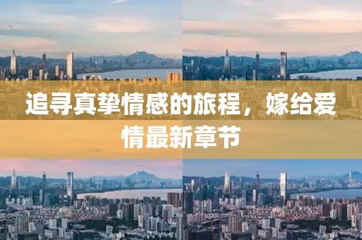 追寻真挚情感的旅程，嫁给爱情最新章节