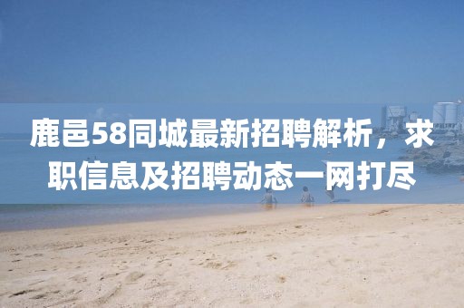 鹿邑58同城最新招聘解析，求职信息及招聘动态一网打尽