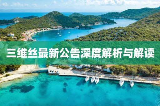 三维丝最新公告深度解析与解读