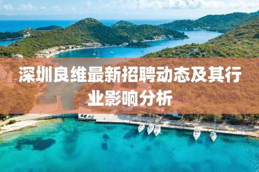 深圳良维最新招聘动态及其行业影响分析