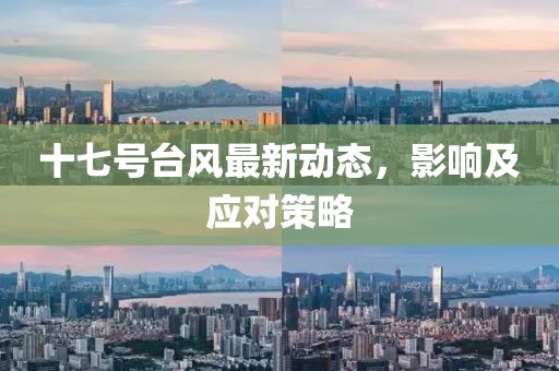 十七号台风最新动态，影响及应对策略