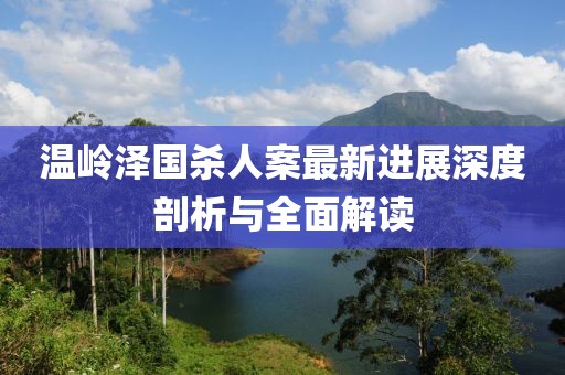 温岭泽国杀人案最新进展深度剖析与全面解读