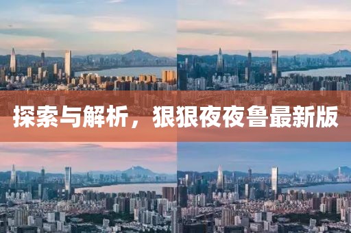 探索与解析，狠狠夜夜鲁最新版