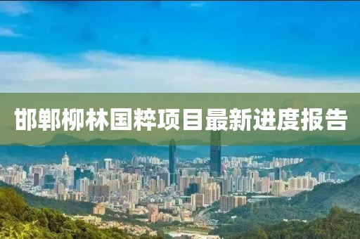 邯郸柳林国粹项目最新进度报告