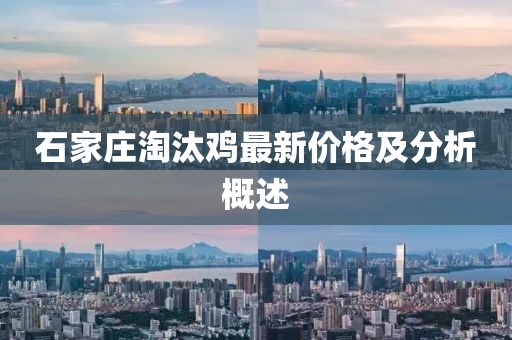 石家庄淘汰鸡最新价格及分析概述