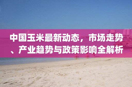中国玉米最新动态，市场走势、产业趋势与政策影响全解析