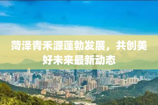 售后服务 第8页