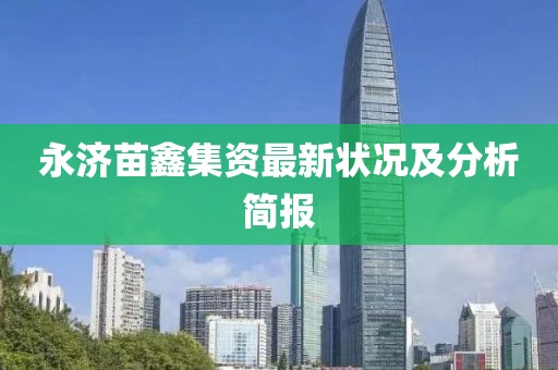 永济苗鑫集资最新状况及分析简报