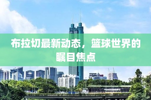 布拉切最新动态，篮球世界的瞩目焦点