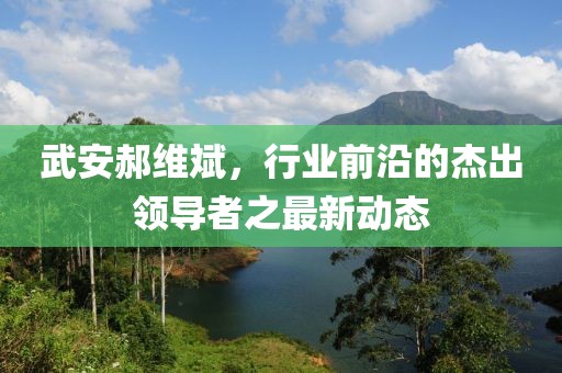 武安郝维斌，行业前沿的杰出领导者之最新动态