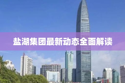 盐湖集团最新动态全面解读