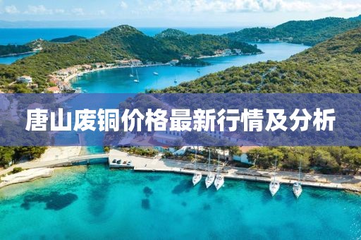 唐山废铜价格最新行情及分析