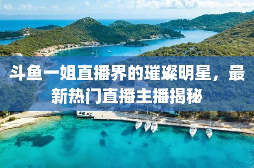 斗鱼一姐直播界的璀璨明星，最新热门直播主播揭秘