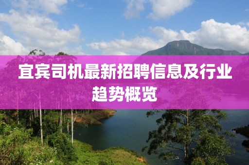宜宾司机最新招聘信息及行业趋势概览