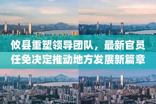 攸县重塑领导团队，最新官员任免决定推动地方发展新篇章
