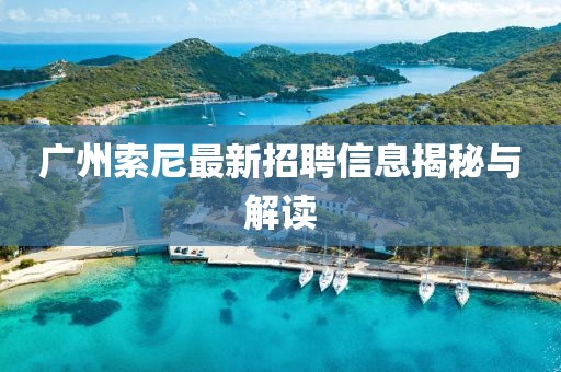 广州索尼最新招聘信息揭秘与解读