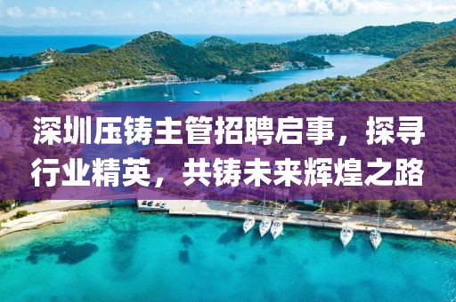 深圳压铸主管招聘启事，探寻行业精英，共铸未来辉煌之路